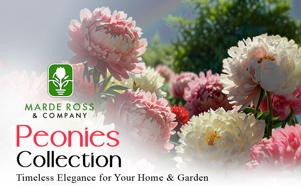 Case Study: How Optimization, PPC, and A+ Content Skyrocketed Marde Ross & Co. Sales to $3 Million