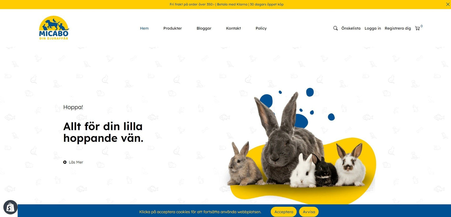 Shopify Website Design | High-Converting Ecommerce Stores