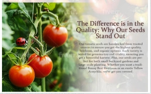 I will design premium amazon a plus content, enhanced brand content ebc listing images