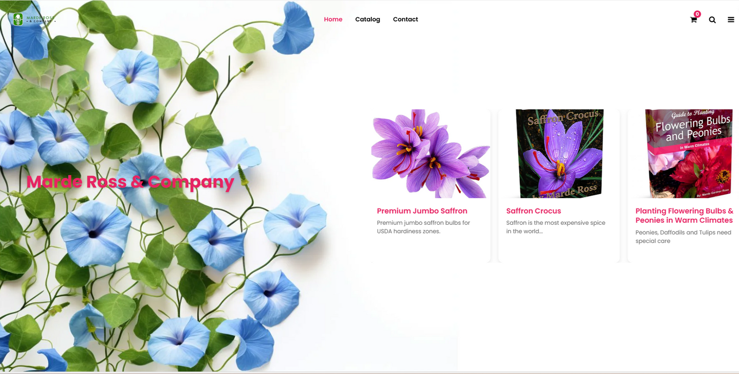 Shopify Website Design | High-Converting Ecommerce Stores