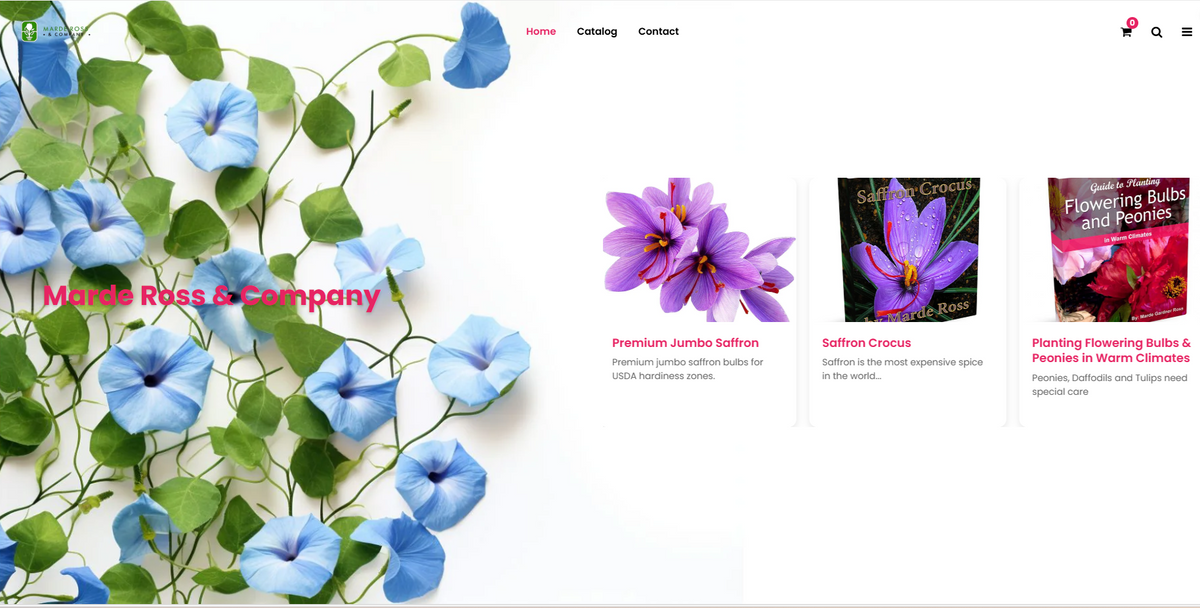 Shopify Website Design | High-Converting Ecommerce Stores