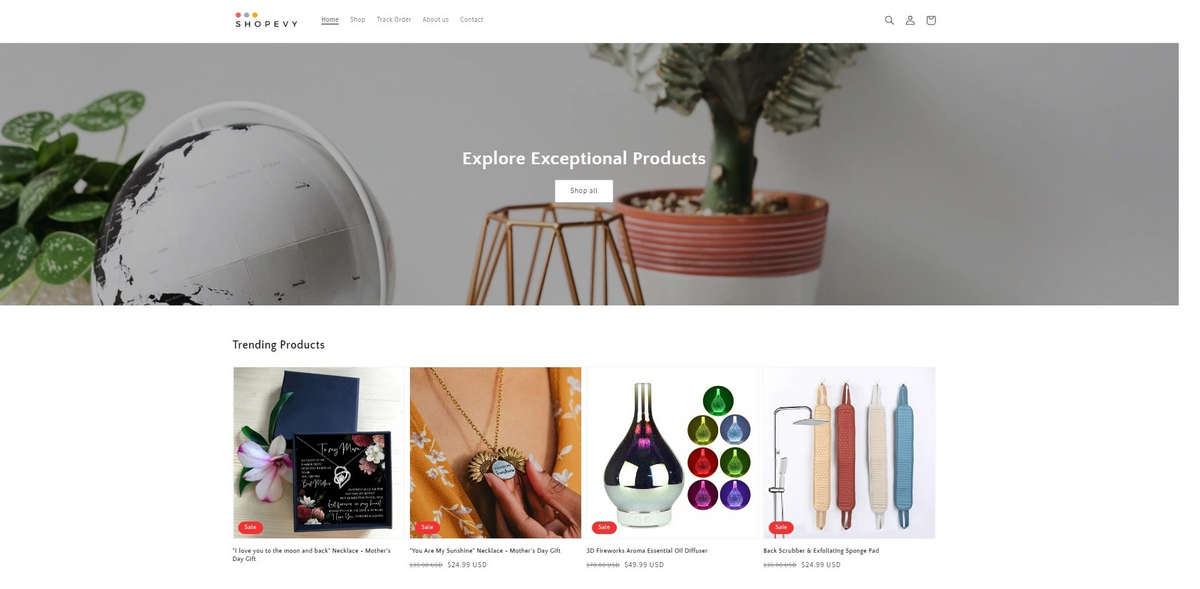 Shopify Website Design | High-Converting Ecommerce Stores